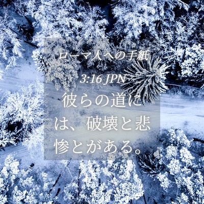 Picture 04 - ローマ人への手紙 3:16 JPN - 彼らの道には、破壊と悲惨とがある - Bible Verse Picture