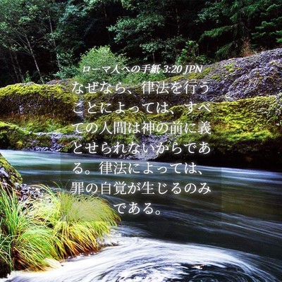 Picture 04 - ローマ人への手紙 3:20 JPN - なぜなら、律法を行うことによって - Bible Verse Picture