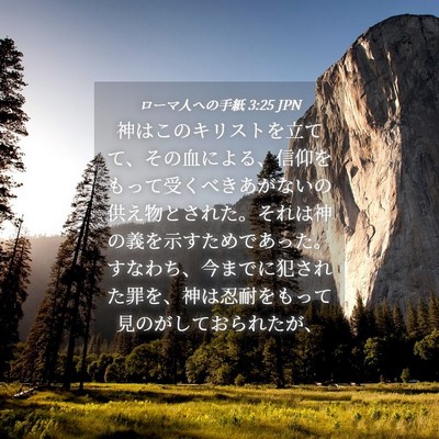 Picture 04 - ローマ人への手紙 3:25 JPN - 神はこのキリストを立てて、その血 - Bible Verse Picture