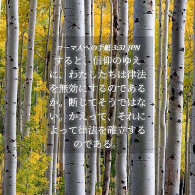 Picture 04 - ローマ人への手紙 3:31 JPN - すると、信仰のゆえに、わたしたち - Bible Verse Picture