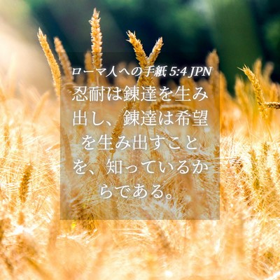 Picture 04 - ローマ人への手紙 5:4 JPN - 忍耐は錬達を生み出し、錬達は希望 - Bible Verse Picture