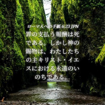 Picture 04 - ローマ人への手紙 6:23 JPN - 罪の支払う報酬は死である。しかし - Bible Verse Picture