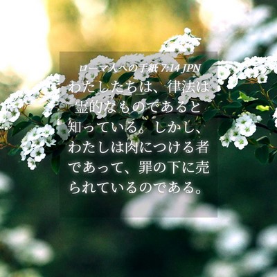 Picture 04 - ローマ人への手紙 7:14 JPN - わたしたちは、律法は霊的なもので - Bible Verse Picture