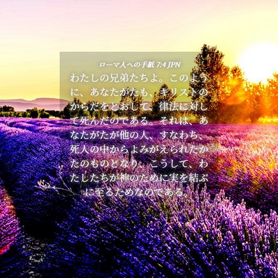 Picture 04 - ローマ人への手紙 7:4 JPN - わたしの兄弟たちよ。このように、 - Bible Verse Picture