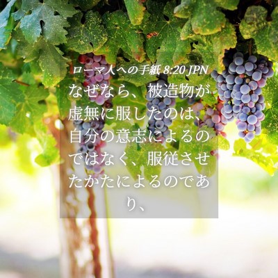 Picture 04 - ローマ人への手紙 8:20 JPN - なぜなら、被造物が虚無に服したの - Bible Verse Picture