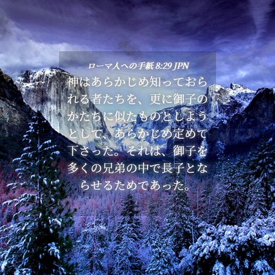 Picture 04 - ローマ人への手紙 8:29 JPN - 神はあらかじめ知っておられる者た - Bible Verse Picture