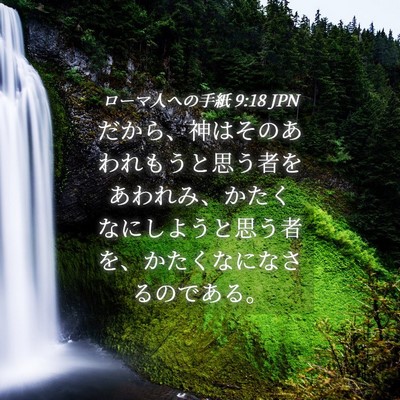 Picture 04 - ローマ人への手紙 9:18 JPN - だから、神はそのあわれもうと思う - Bible Verse Picture