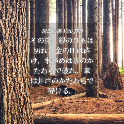 Picture 04 - 伝道の書 12:6 JPN - その後、銀のひもは切れ、金の皿は - Bible Verse Picture