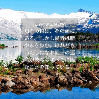 Picture 04 - 伝道の書 2:14 JPN - 知者の目は、その頭にある。しかし - Bible Verse Picture