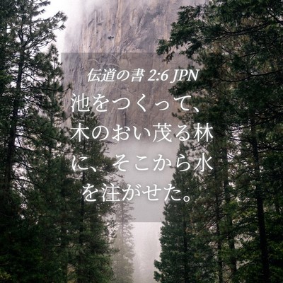 Picture 04 - 伝道の書 2:6 JPN - 池をつくって、木のおい茂る林に、 - Bible Verse Picture
