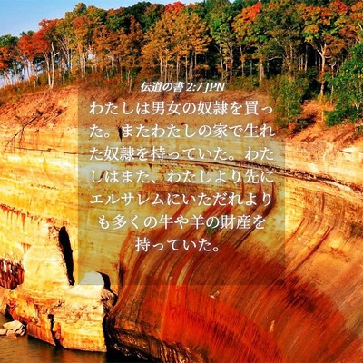 Picture 04 - 伝道の書 2:7 JPN - わたしは男女の奴隷を買った。また - Bible Verse Picture