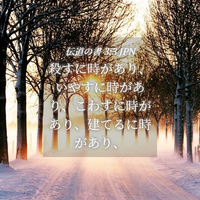 Picture 04 - 伝道の書 3:3 JPN - 殺すに時があり、いやすに時があり - Bible Verse Picture