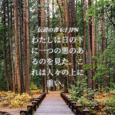 Picture 04 - 伝道の書 6:1 JPN - わたしは日の下に一つの悪のあるの - Bible Verse Picture