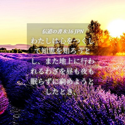 Picture 04 - 伝道の書 8:16 JPN - わたしは心をつくして知恵を知ろう - Bible Verse Picture