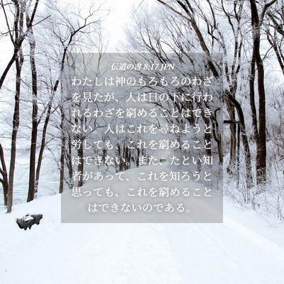 Picture 04 - 伝道の書 8:17 JPN - わたしは神のもろもろのわざを見た - Bible Verse Picture