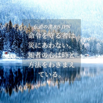 Picture 04 - 伝道の書 8:5 JPN - 命令を守る者は災にあわない。知者 - Bible Verse Picture