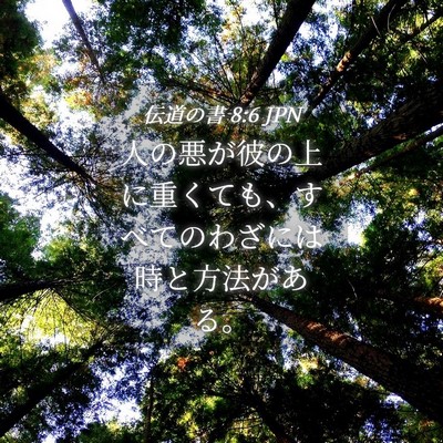 Picture 04 - 伝道の書 8:6 JPN - 人の悪が彼の上に重くても、すべて - Bible Verse Picture