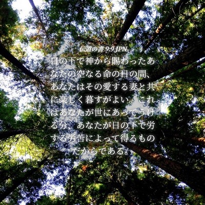Picture 04 - 伝道の書 9:9 JPN - 日の下で神から賜わったあなたの空 - Bible Verse Picture