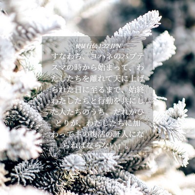 Picture 04 - 使徒行伝 1:22 JPN - すなわち、ヨハネのバプテスマの時 - Bible Verse Picture
