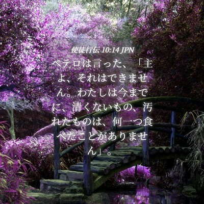 Picture 04 - 使徒行伝 10:14 JPN - ペテロは言った、「主よ、それはで - Bible Verse Picture