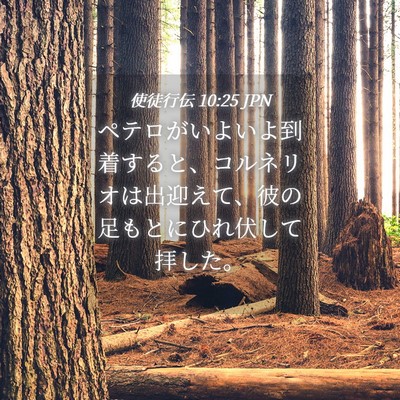 Picture 04 - 使徒行伝 10:25 JPN - ペテロがいよいよ到着すると、コル - Bible Verse Picture