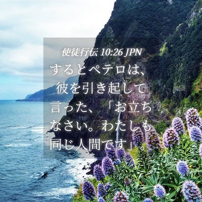 Picture 04 - 使徒行伝 10:26 JPN - するとペテロは、彼を引き起して言 - Bible Verse Picture
