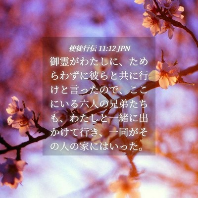 Picture 04 - 使徒行伝 11:12 JPN - 御霊がわたしに、ためらわずに彼ら - Bible Verse Picture