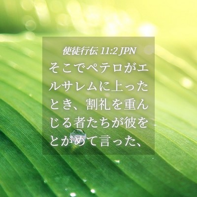 Picture 04 - 使徒行伝 11:2 JPN - そこでペテロがエルサレムに上った - Bible Verse Picture