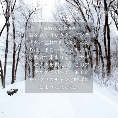 Picture 04 - 使徒行伝 11:26 JPN - 彼を見つけたうえ、アンテオケに連 - Bible Verse Picture