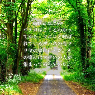 Picture 04 - 使徒行伝 12:12 JPN - ペテロはこうとわかってから、マル - Bible Verse Picture