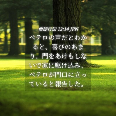 Picture 04 - 使徒行伝 12:14 JPN - ペテロの声だとわかると、喜びのあ - Bible Verse Picture