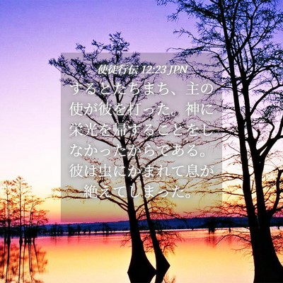 Picture 04 - 使徒行伝 12:23 JPN - するとたちまち、主の使が彼を打っ - Bible Verse Picture