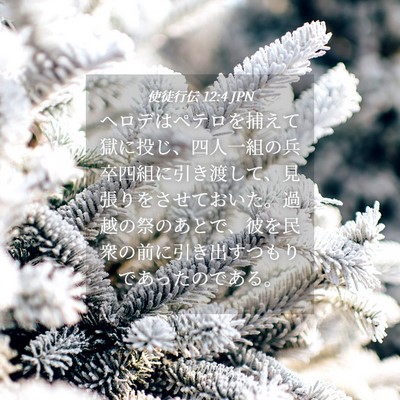 Picture 04 - 使徒行伝 12:4 JPN - ヘロデはペテロを捕えて獄に投じ、 - Bible Verse Picture