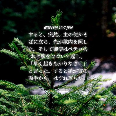 Picture 04 - 使徒行伝 12:7 JPN - すると、突然、主の使がそばに立ち - Bible Verse Picture