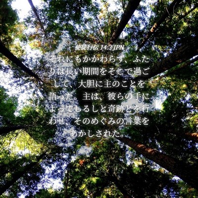 Picture 04 - 使徒行伝 14:3 JPN - それにもかかわらず、ふたりは長い - Bible Verse Picture