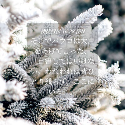 Picture 04 - 使徒行伝 16:28 JPN - そこでパウロは大声をあげて言った - Bible Verse Picture