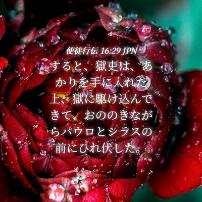 Picture 04 - 使徒行伝 16:29 JPN - すると、獄吏は、あかりを手に入れ - Bible Verse Picture