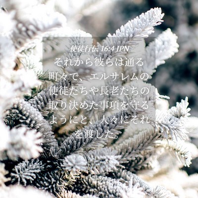 Picture 04 - 使徒行伝 16:4 JPN - それから彼らは通る町々で、エルサ - Bible Verse Picture