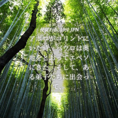 Picture 04 - 使徒行伝 19:1 JPN - アポロがコリントにいた時、パウロ - Bible Verse Picture