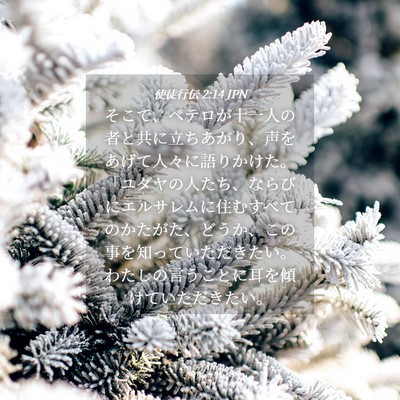 Picture 04 - 使徒行伝 2:14 JPN - そこで、ペテロが十一人の者と共に - Bible Verse Picture
