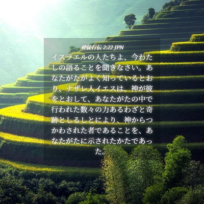 Picture 04 - 使徒行伝 2:22 JPN - イスラエルの人たちよ、今わたしの - Bible Verse Picture