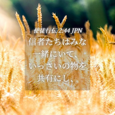 Picture 04 - 使徒行伝 2:44 JPN - 信者たちはみな一緒にいて、いっさ - Bible Verse Picture