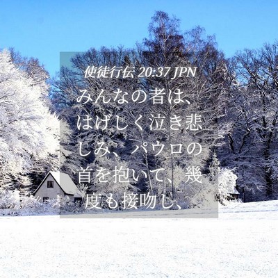 Picture 04 - 使徒行伝 20:37 JPN - みんなの者は、はげしく泣き悲しみ - Bible Verse Picture