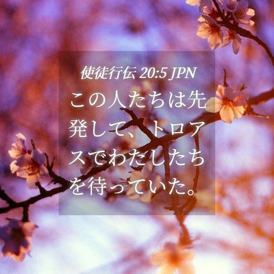 Picture 04 - 使徒行伝 20:5 JPN - この人たちは先発して、トロアスで - Bible Verse Picture