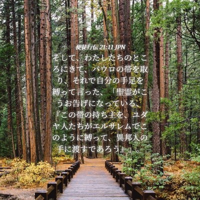 Picture 04 - 使徒行伝 21:11 JPN - そして、わたしたちのところにきて - Bible Verse Picture
