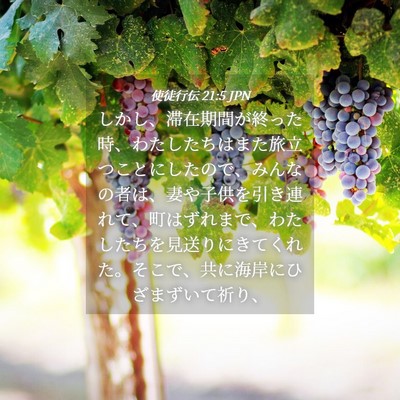 Picture 04 - 使徒行伝 21:5 JPN - しかし、滞在期間が終った時、わた - Bible Verse Picture