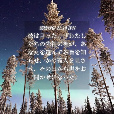 Picture 04 - 使徒行伝 22:14 JPN - 彼は言った、『わたしたちの先祖の - Bible Verse Picture