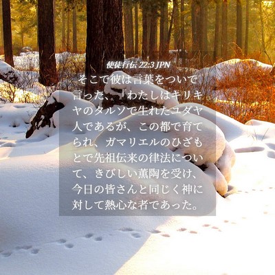 Picture 04 - 使徒行伝 22:3 JPN - そこで彼は言葉をついで言った、「 - Bible Verse Picture