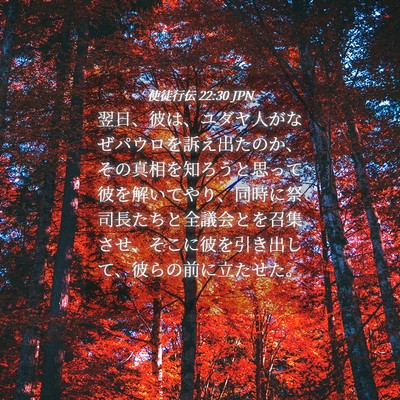 Picture 04 - 使徒行伝 22:30 JPN - 翌日、彼は、ユダヤ人がなぜパウロ - Bible Verse Picture