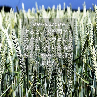 Picture 04 - 使徒行伝 23:2 JPN - すると、大祭司アナニヤが、パウロ - Bible Verse Picture
